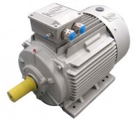 Низковольтные электродвигатели OME Motors IEC1